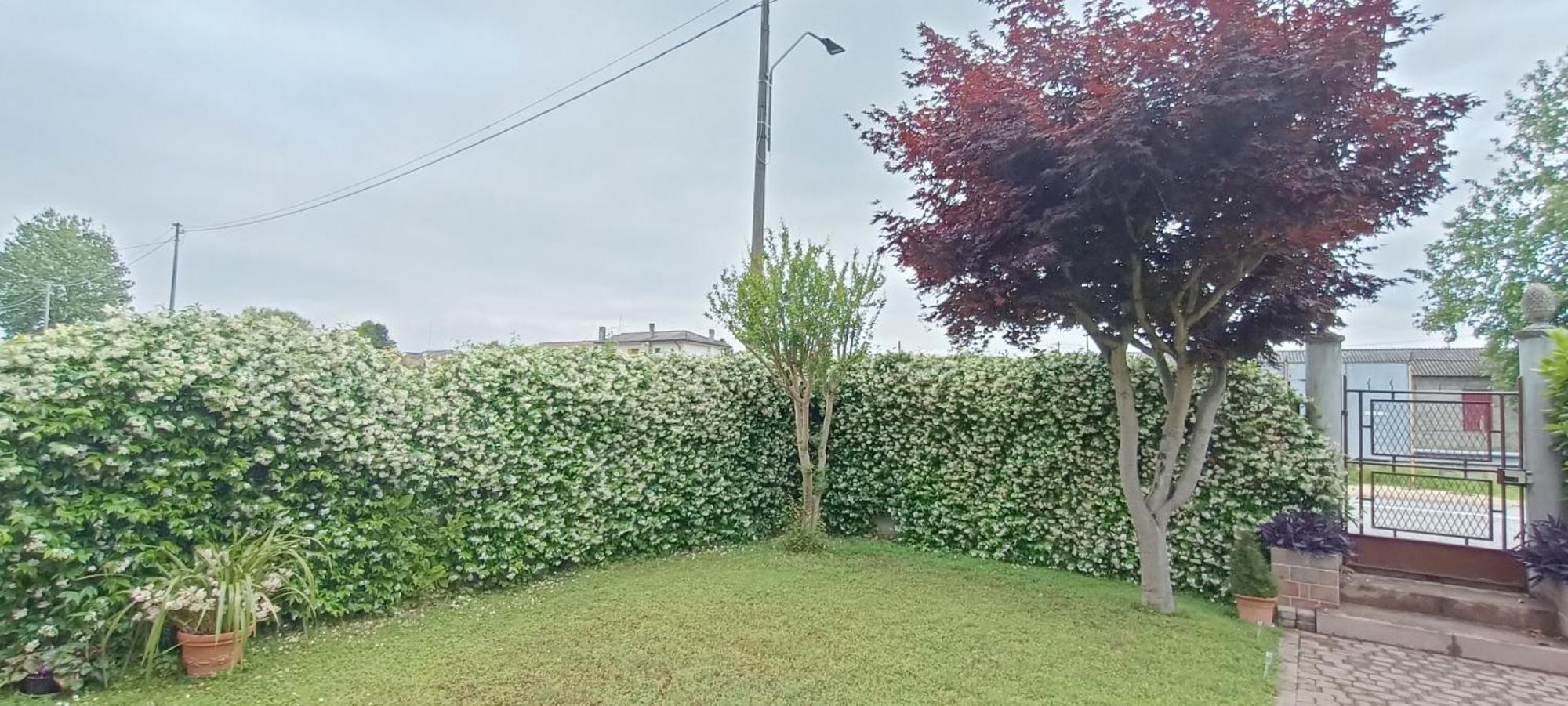 B&B We Care Appartamento Lendinara Bagian luar foto